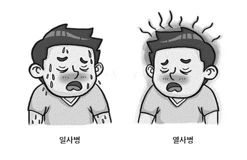 게시글 썸네일