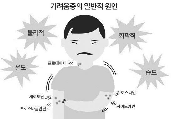 게시글 썸네일